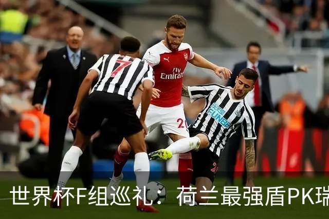 世界杯F组巡礼：荷兰最强盾PK瑞典犀利刀 日本短板明显