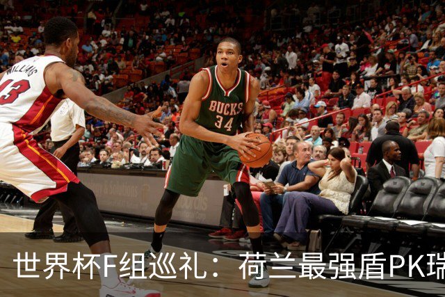 世界杯F组巡礼：荷兰最强盾PK瑞典犀利刀 日本短板明显